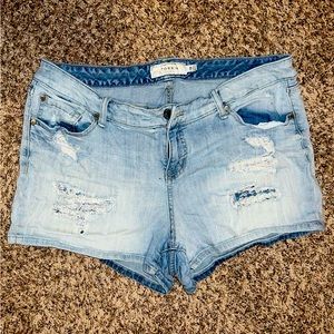 Torrid Shorts